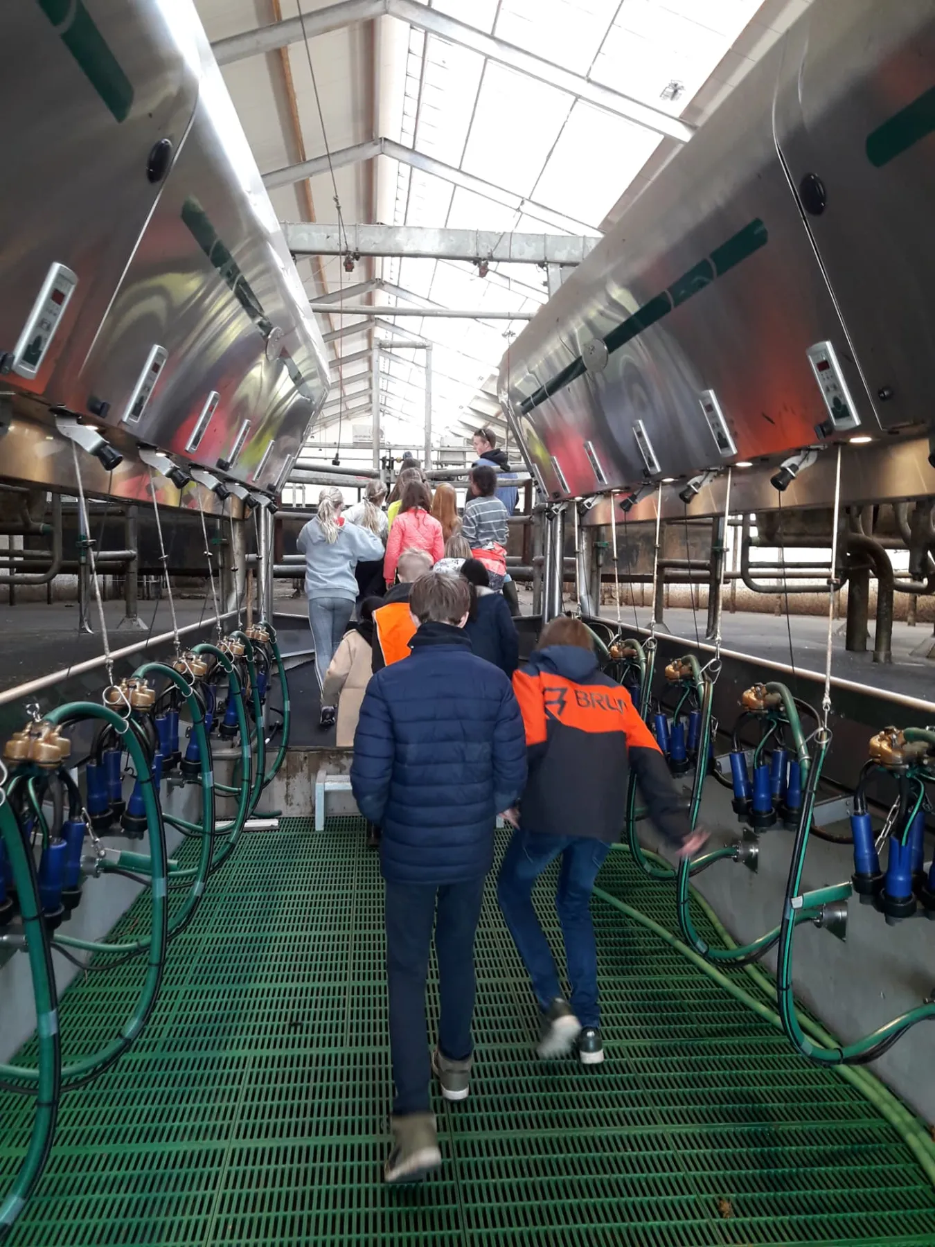 Leerlingen lopen tijdens een les door de melkstal